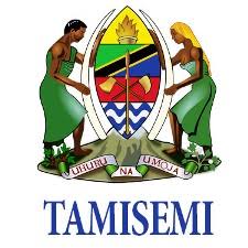 TAMISEMI Form Five Selection 2024-2025: An Overview